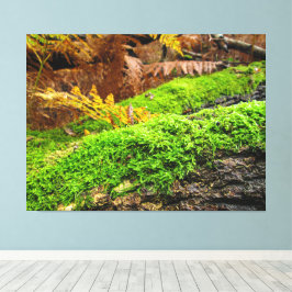 Lienzo Tree Bark in Autumn Moss -