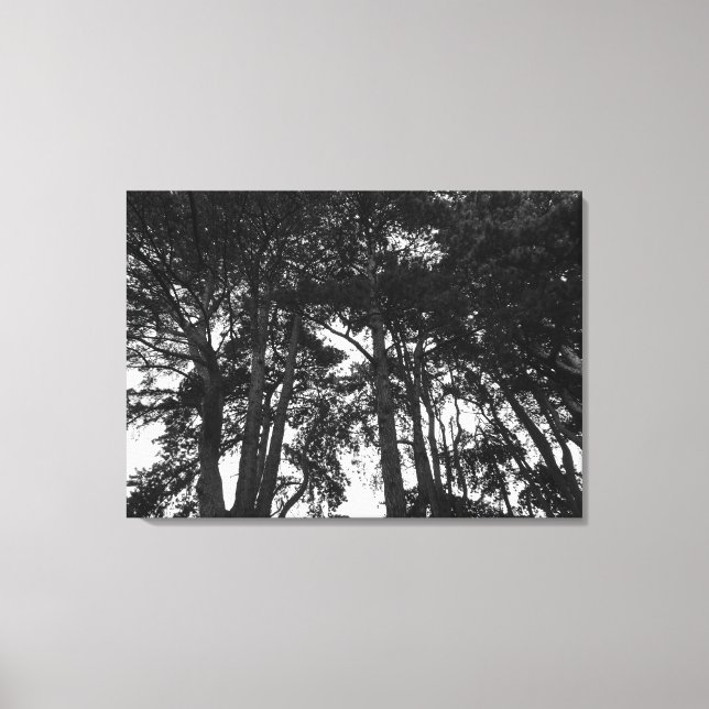 Lienzo Tree Canopy II, Bute Park, Cardiff (Anverso)