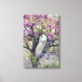 Lienzo Tree in bloom in Provence