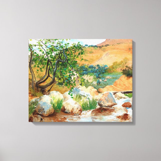 Lienzo Trees Rocks Mountain View (Anverso)
