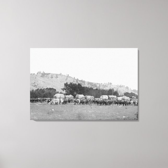 Lienzo Tren Ox entre Sturgis y Fotograpa de Deadwood (Anverso)