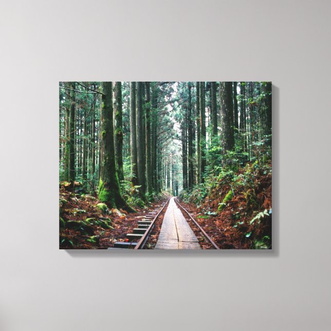 Lienzo Tren pistas en el bosque (Anverso)