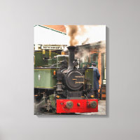 TRENES DE VAPOR