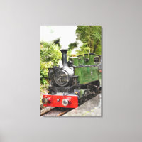 TRENES DE VAPOR