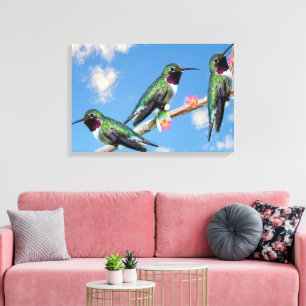 Lienzo Tres colibríes encaramados en una rama de un Floss
