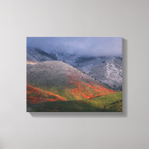 Lienzo Tres estaciones de follaje, arces rojas y otoño