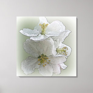 Lienzo tres flores blancas