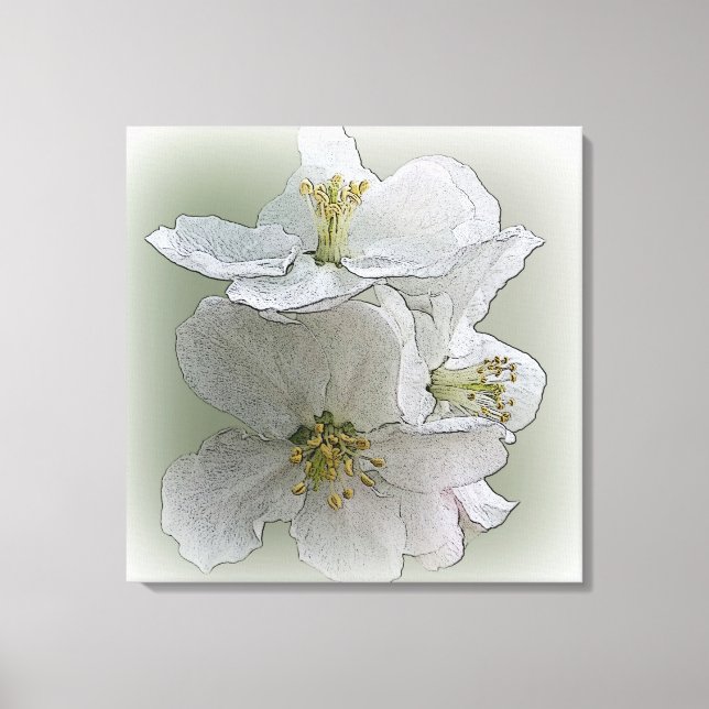 Lienzo tres flores blancas (Anverso)