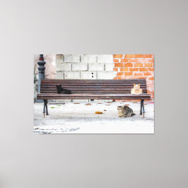 Lienzo Tres gatos en un banco