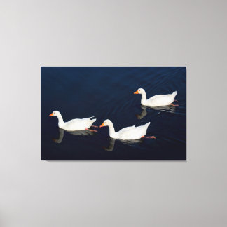 Lienzo Tres Geese Emden