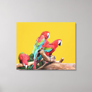 Lienzo Tres loros de fondo amarillo.
