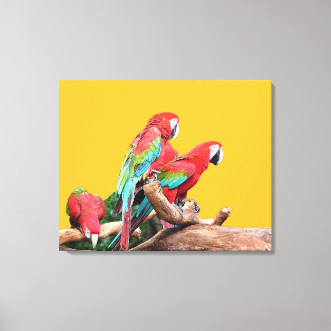 Lienzo Tres loros de fondo amarillo. (Anverso)