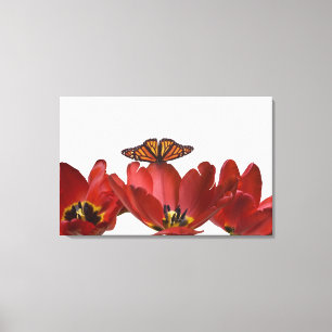 Lienzo Tres tulipanes rojos y una mariposa de monarca