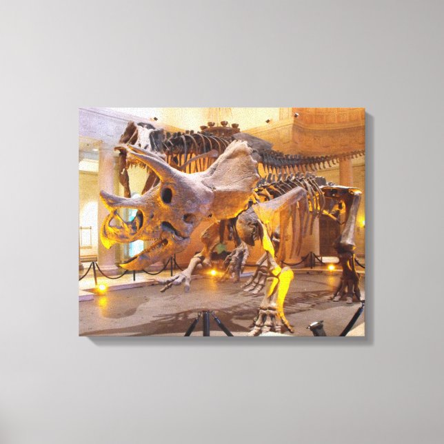 Lienzo Triceratops Skeleton Canvas Print (Anverso)