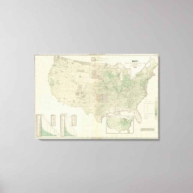 Lienzo Trigo por milla cuadrada (Anverso)