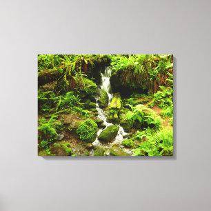 Lienzo Trillium Falls en el Parque Nacional Redwood