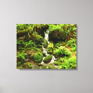 Lienzo Trillium Falls en el Parque Nacional Redwood