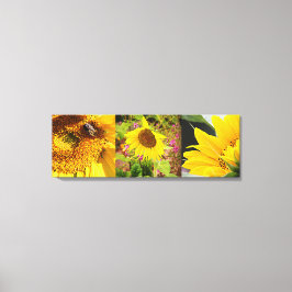 Lienzo Trio de girasol