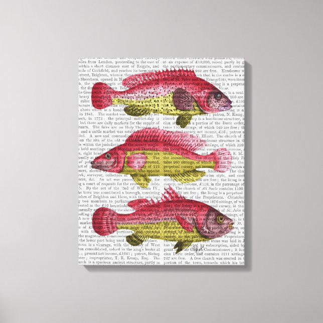 Lienzo Trío de peces rojo y amarillo (Anverso)