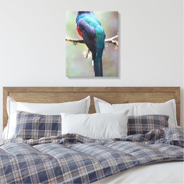 Lienzo Trogon enmascarado (Insitu(Dormitorio))