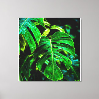 Lienzo Tropical Monstera Glow – Jungle Leaf Photography
