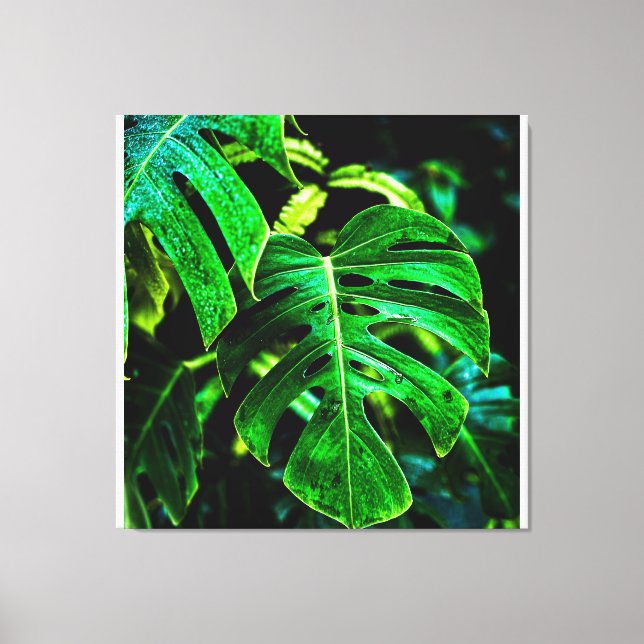 Lienzo Tropical Monstera Glow – Jungle Leaf Photography (Anverso)