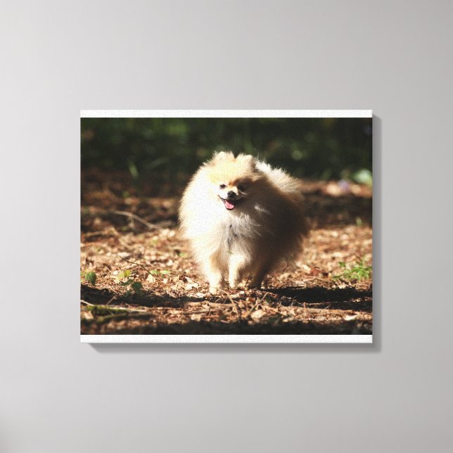 Lienzo Trotting Pomerania en las hojas caídas (Anverso)