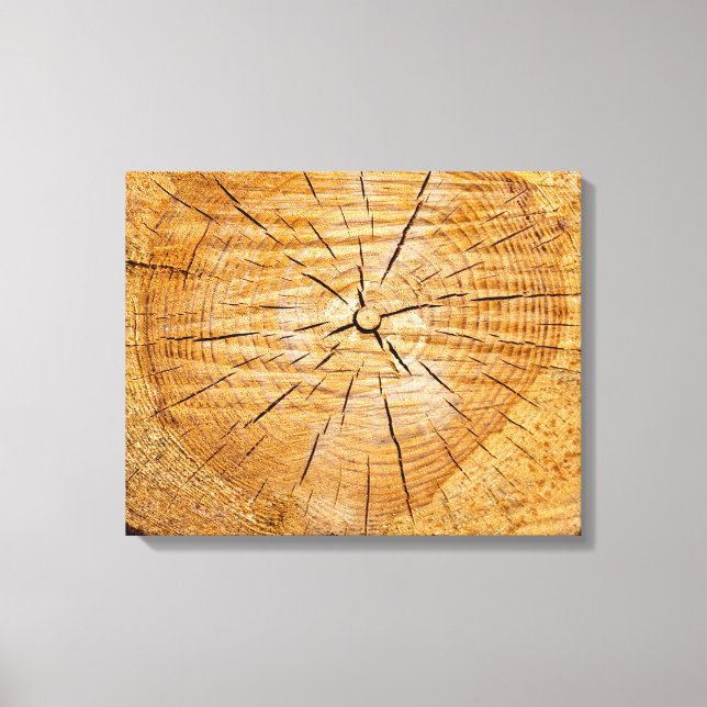 Lienzo Trozo de vida (Anverso)