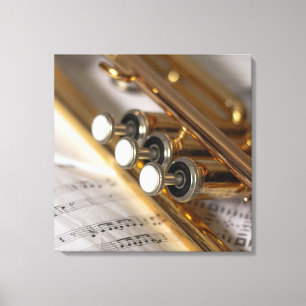 Lienzo Trucha y papel de latón de música de chapa