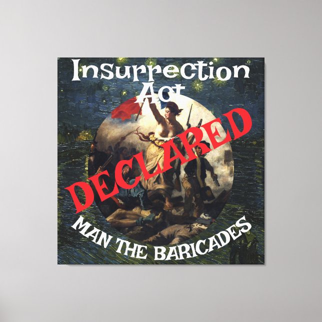 Lienzo Trump Bans Fornication Adultery Blue States (Anverso)