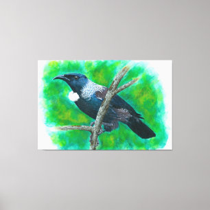 Lienzo Tui de Nueva Zelanda - Pintura en acrílico