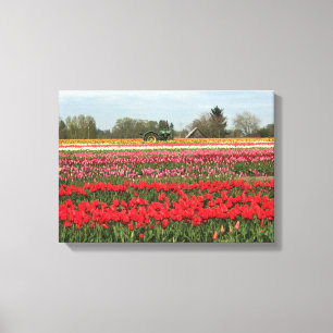 Lienzo Tulip Field con Tractor y Barn