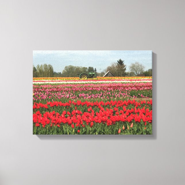 Lienzo Tulip Field con Tractor y Barn (Anverso)