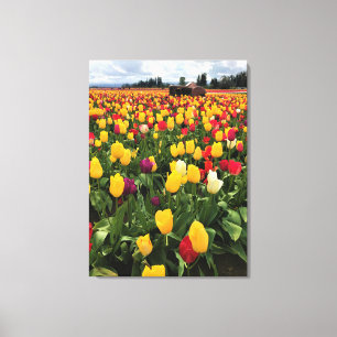 Lienzo Tulip Field con un viejo tractor, Oregón