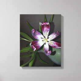 Lienzo Tulip Flower