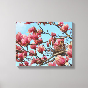 Lienzo Tulip Magnolia Tree con Birdsnest on Canvas