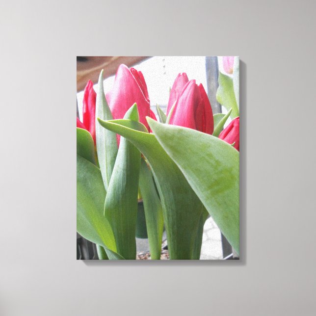 Lienzo Tulip Rojo (Anverso)
