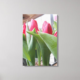 Lienzo Tulip Rojo
