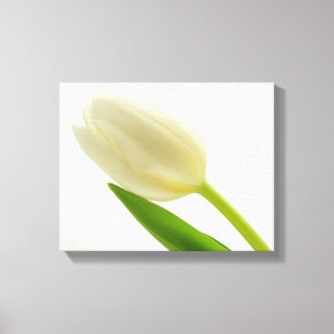 Lienzo Tulip simple
