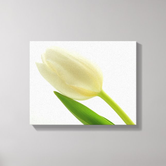 Lienzo Tulip simple (Anverso)