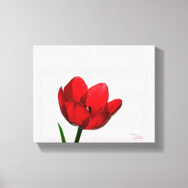 Lienzo Tulip Wraped Canvas (Anverso)