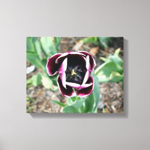 Lienzo Tulip Wraped Canvas
