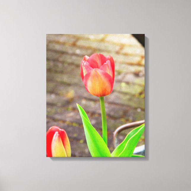 Lienzo Tulipán (Anverso)