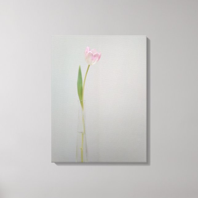 Lienzo Tulipán blanco rosado en caja (Anverso)