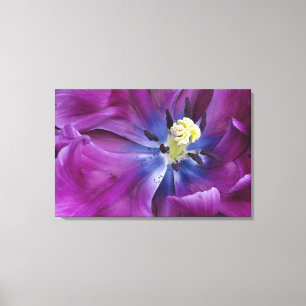 Lienzo Tulipán cerca, Keukenhof Gardens, Lisse,