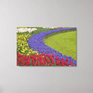 Lienzo Tulipán, Hyacinth de uva y jardín de daffodias,