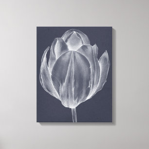 Lienzo Tulipán monocromo I