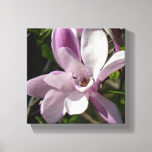 Lienzo Tulipán rosado florece en primavera