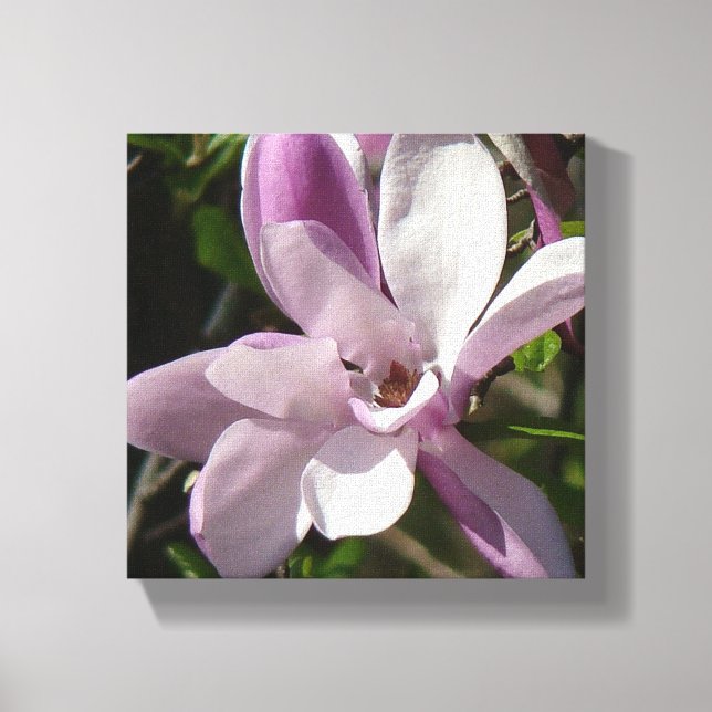 Lienzo Tulipán rosado florece en primavera (Anverso)