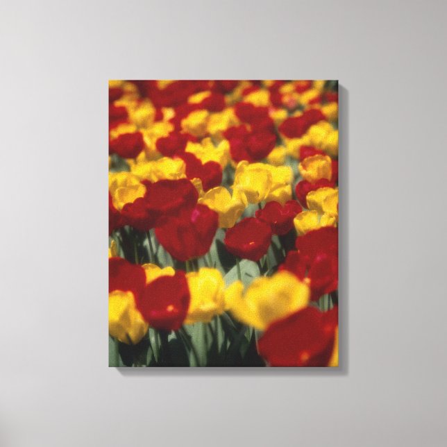 Lienzo Tulipanes 2 (Anverso)
